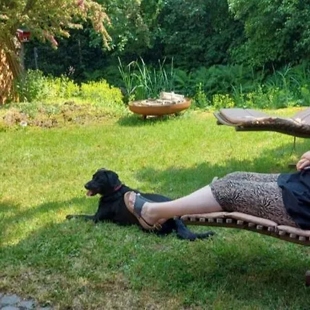 Waldperle Harzblick Wernrode