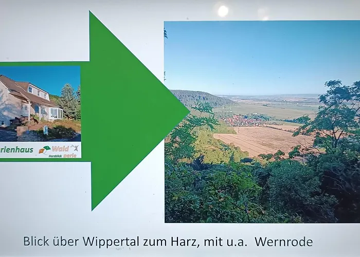 Waldperle Harzblick Lejlighed Wernrode