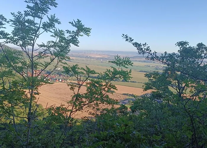 Waldperle Harzblick *