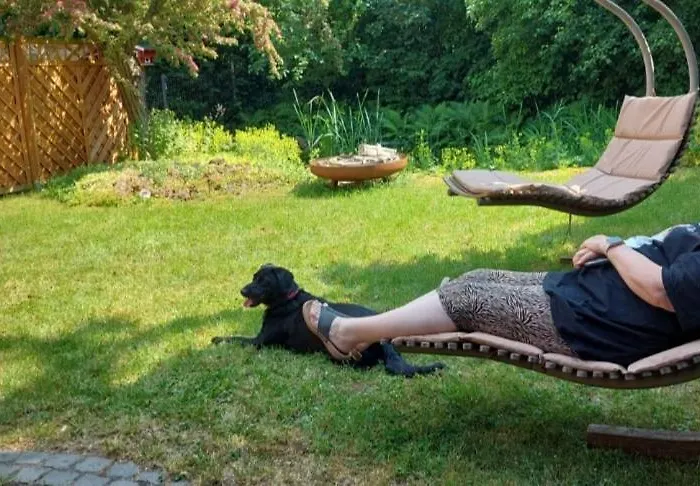 Waldperle Harzblick Wernrode